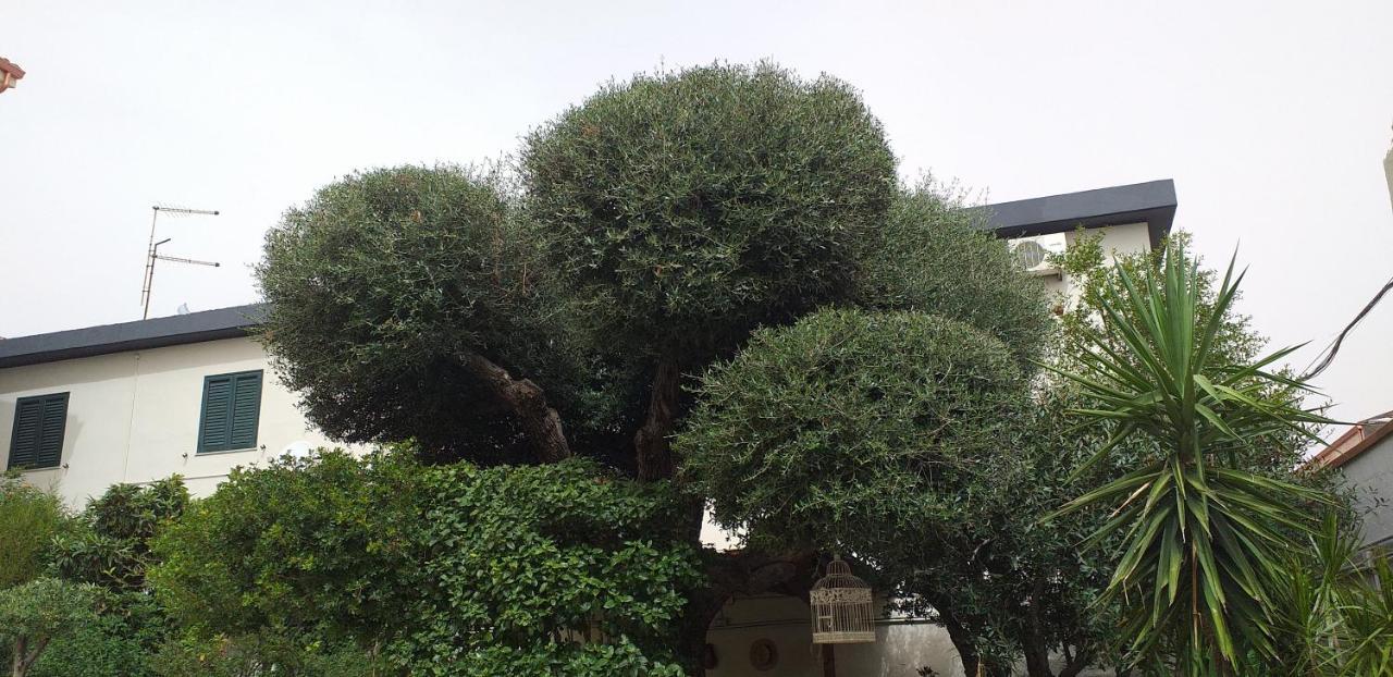 Il Vecchio Ginepro Bed & Breakfast Capoterra Dış mekan fotoğraf
